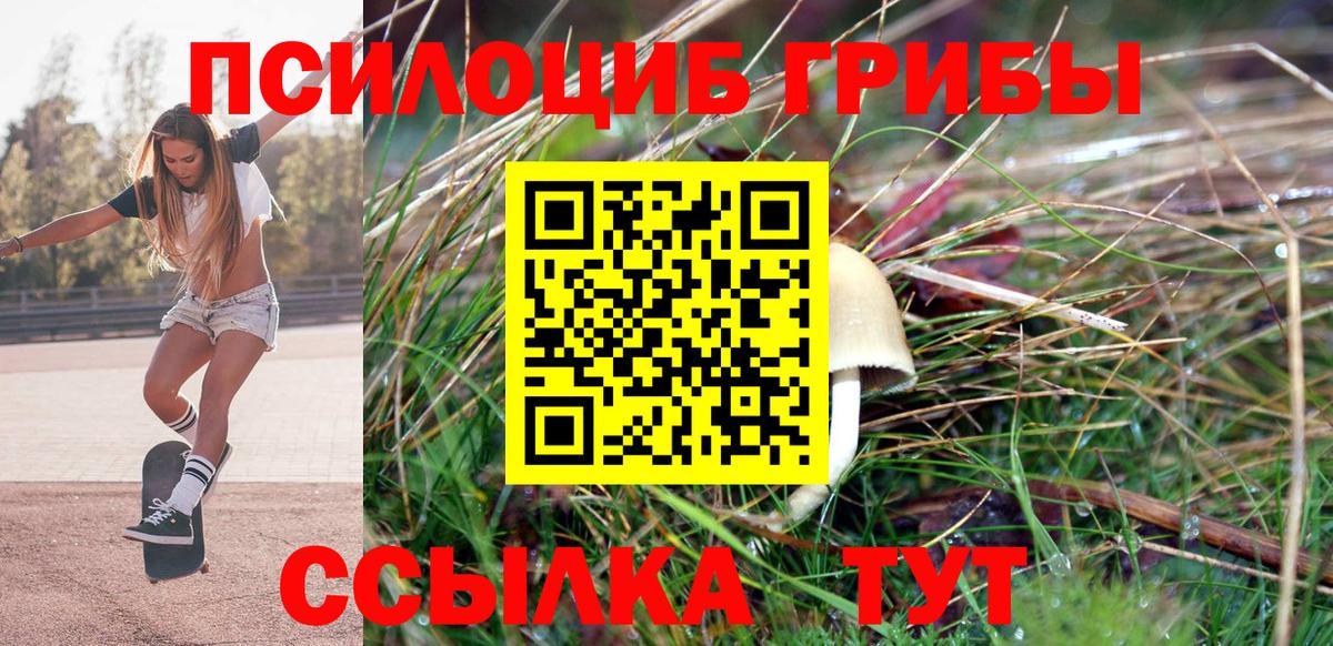 Гагарин  Галлюциногенные грибы MAGIC MUSHROOMS  Псилоцибиновые грибы GOLDEN TEACHER  Вход с VPN 
